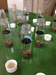 Oil experiment performed by local High School student using different types of sediment