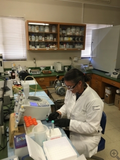 Local science teacher Sue Squires working in the lab on a new TEP method